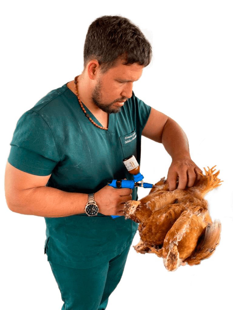 Expert em Avicultura